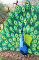 Kids_DFWzoo_3-2016 (23)